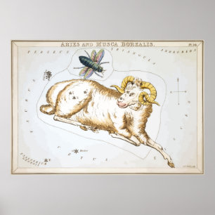 Aries - Constellation - Horoscope - Zodiac - Stars Poster