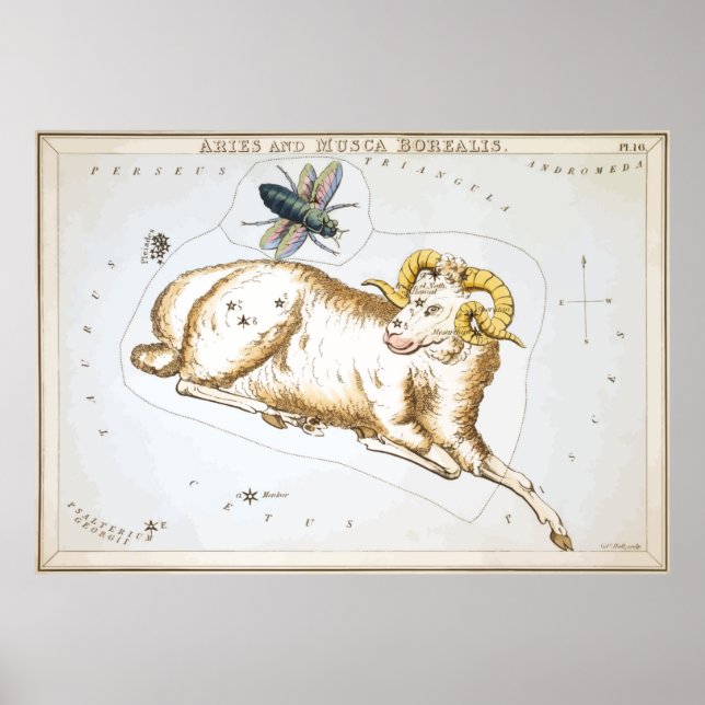 Aries - Constellation - Horoscope - Zodiac - Stars Poster (Front)