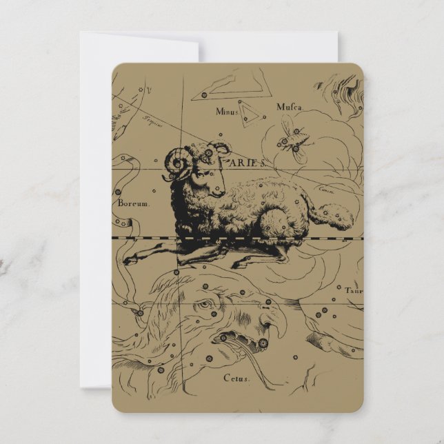 Aries Constellation Map Engraving by Hevelius (Front)