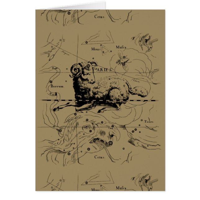 Aries Constellation Map Hevelius 1690 (Front)