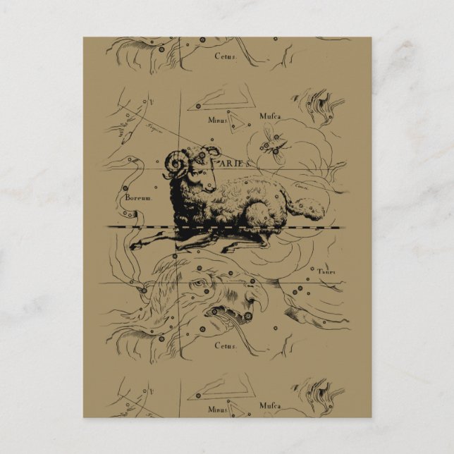 Aries Constellation Map Hevelius 1690 Postcard (Front)
