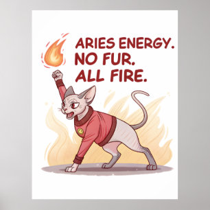 Aries Energy Sphynx Cat No Fur All Fire Art Poster