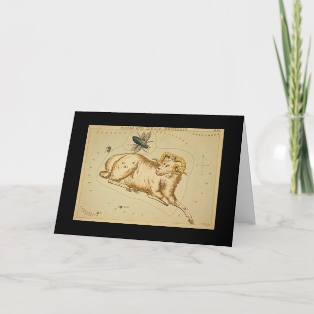 Aries Greeting Card (Front)