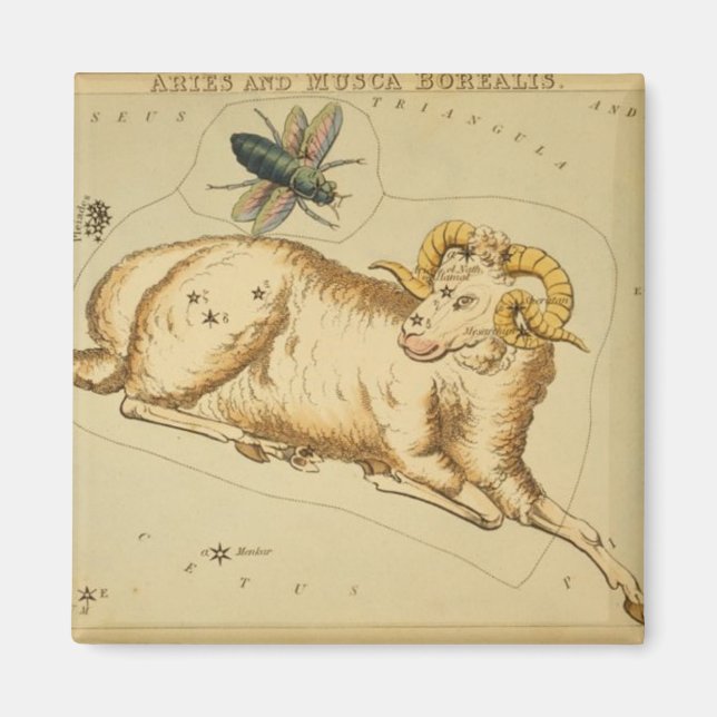 Aries Magnet (Front)