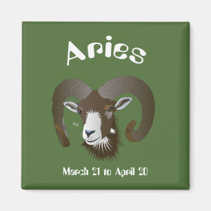 Aries March 21 to April 20 Magnet