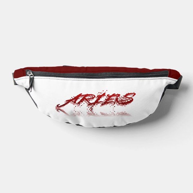 Aries Reflection Bum Bags (Lay Down)