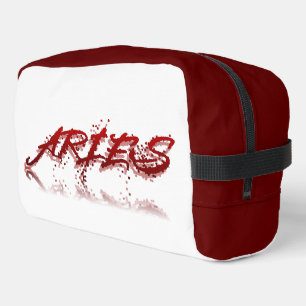 Aries Reflection Dopp Kit