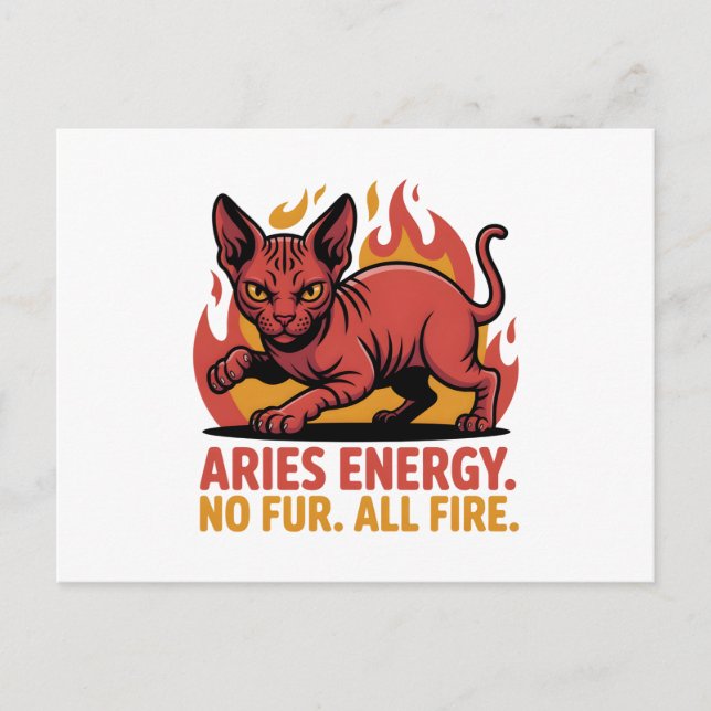 Aries Sphynx Cat Fire Zodiac Illustration Postcard (Front)