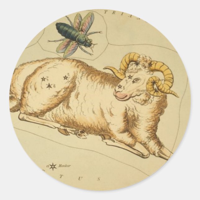 Aries Sticker (Front)