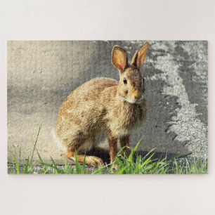 Arisdale Arts: Wild Rabbit Sitting Jigsaw Puzzle