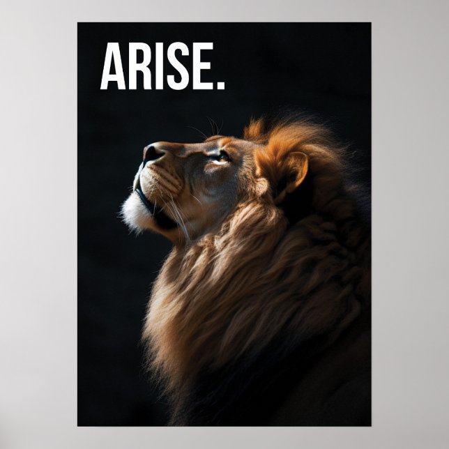 Arise - Lion - Success, Workout - Motivational Poster (Front)