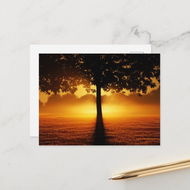 Arise Postcard (Front/Back In Situ)