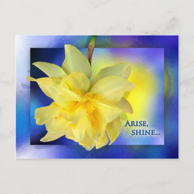 Arise, Shine! Postcard (Front)