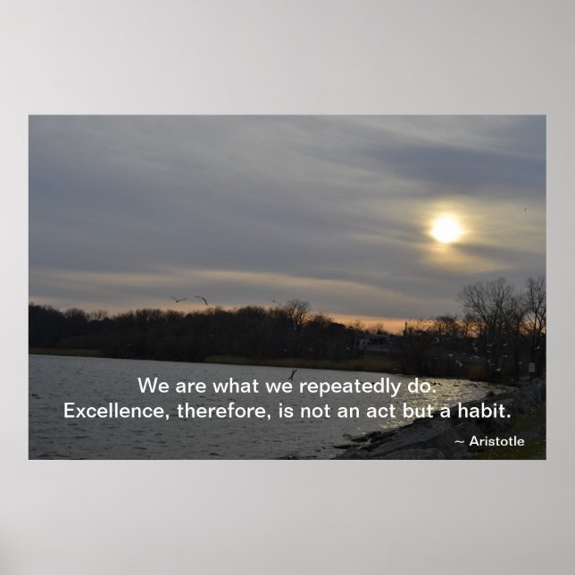Aristotle - Excellence Poster (Front)