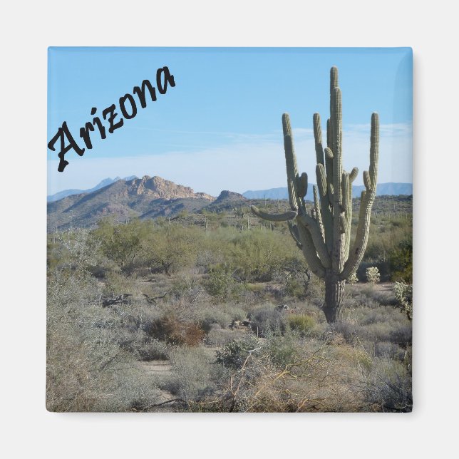 Arizona Apache Trail Cactus Photo Magnet (Front)