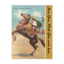 Arizona, Beautiful Mexican Horsewoman