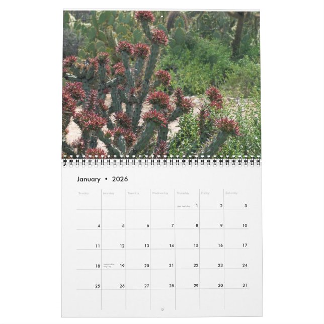 Arizona Cacti Calendar (Jan 2026)