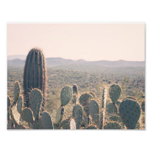Arizona Cacti Photo Print