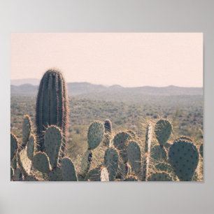 Arizona Cacti   Poster