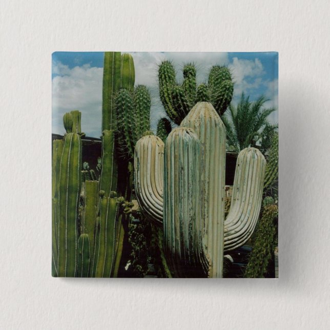 Arizona Cactus 15 Cm Square Badge (Front)