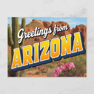 Arizona Cactus and Desert Postcard