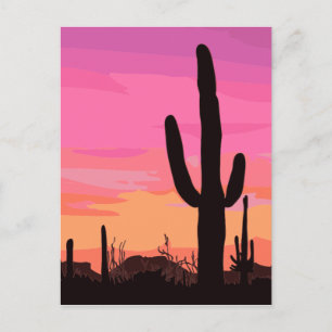 Arizona Cactus Desert Postcard