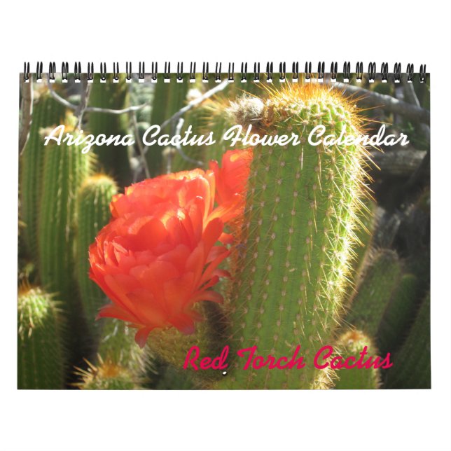 Arizona Cactus Flower Calendar (Cover)