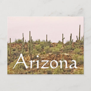 Arizona Cactus Landscape Postcard
