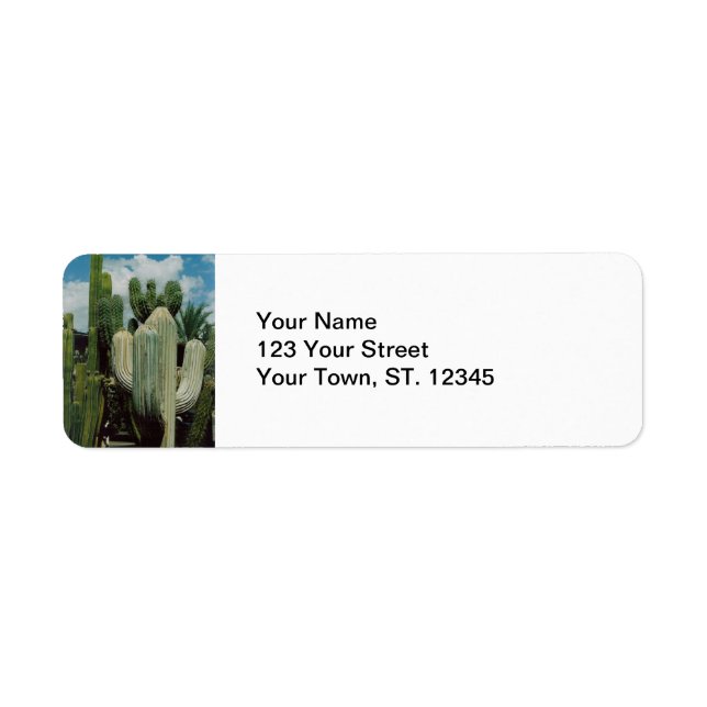 Arizona Cactus Return Address Label (Front)