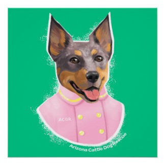 az cattle rescue blue heeler posters zazzle au az cattle rescue blue heeler posters zazzle au