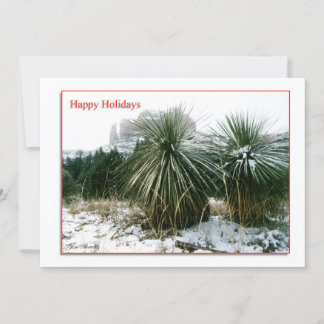 Arizona Christmas Holiday Card