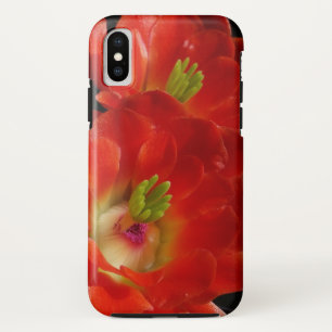 Arizona Claret Cup Cactus With Scarlet Flowers iPhone X Case