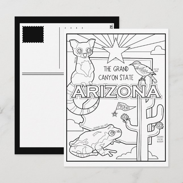 arizona colour me collage postcard (Front/Back)