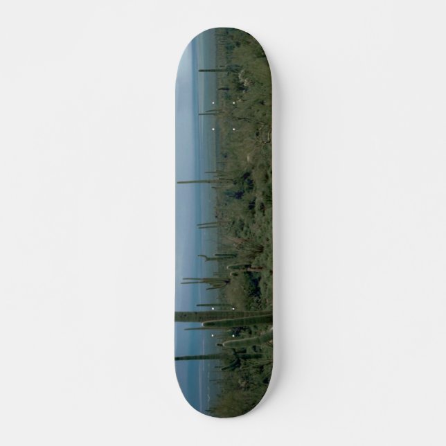 Arizona Desert and Cactuses Skateboard (Front)