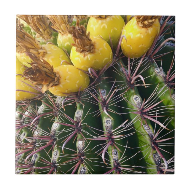 Arizona Desert Cactus Floral Bloom Ceramic Tile (Front)