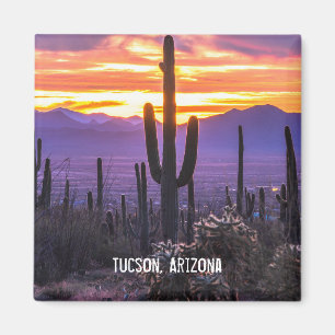 Arizona Desert Cactus Sunset Nature Photo Souvenir Magnet