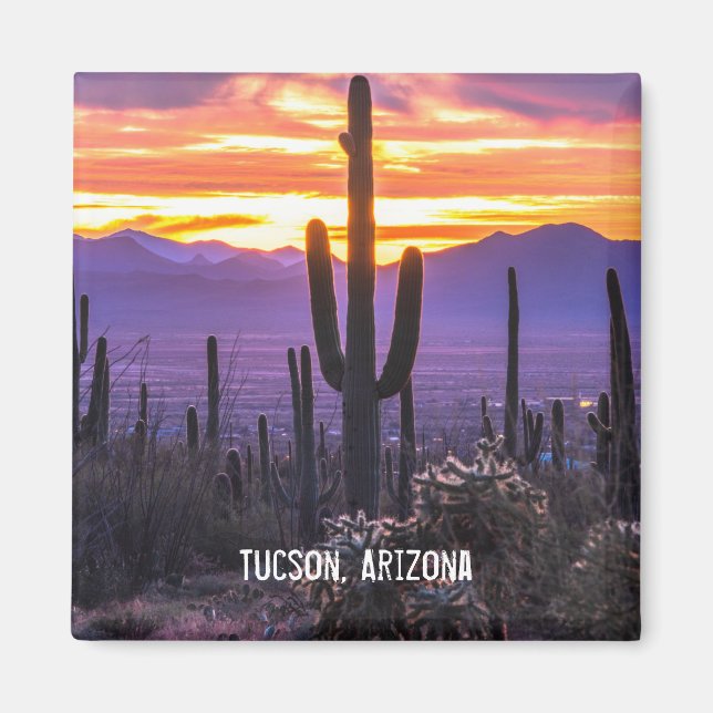 Arizona Desert Cactus Sunset Nature Photo Souvenir Magnet (Front)
