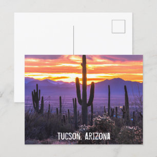 Arizona Desert Cactus Sunset Nature Photo Souvenir Postcard