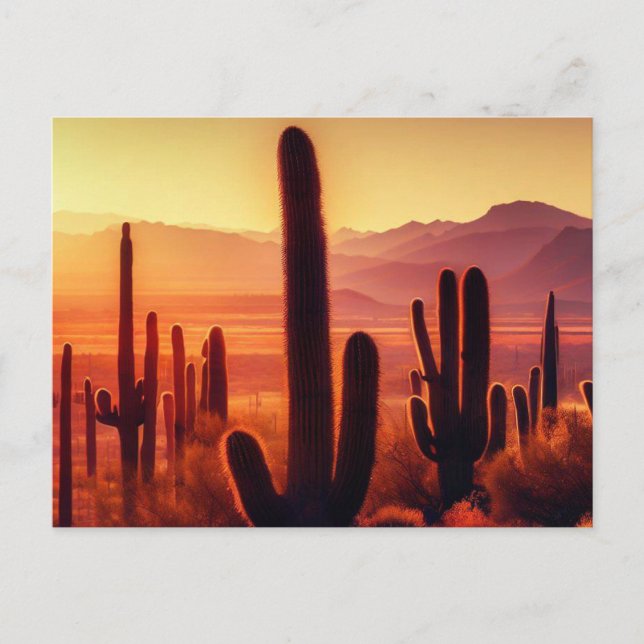Arizona Desert cactus sunset Postcard (Front)