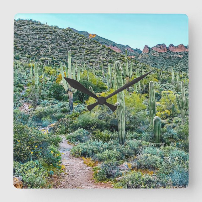 Arizona Desert Hiking Trail Saguaro Cactus Forest Square Wall Clock (Front)