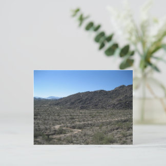 Arizona Desert Postcard