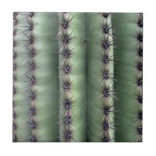 Arizona Desert Saguaro Cactus Green Ceramic Tile