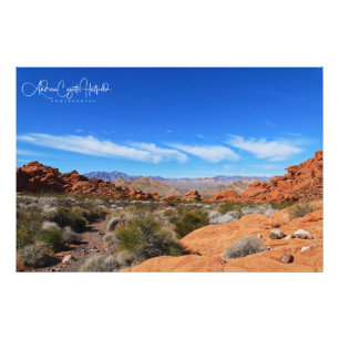 Arizona Desert Scene Photo Print