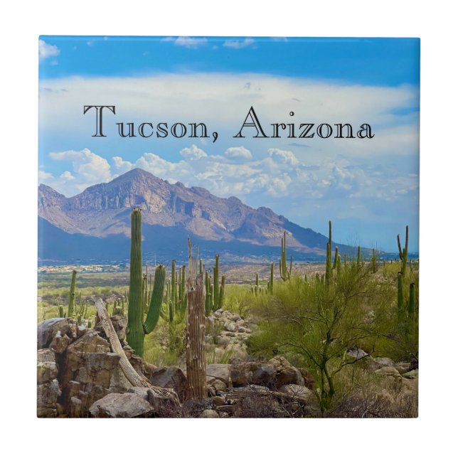 Arizona Desert Southwest  Ceramic Tile (Front)