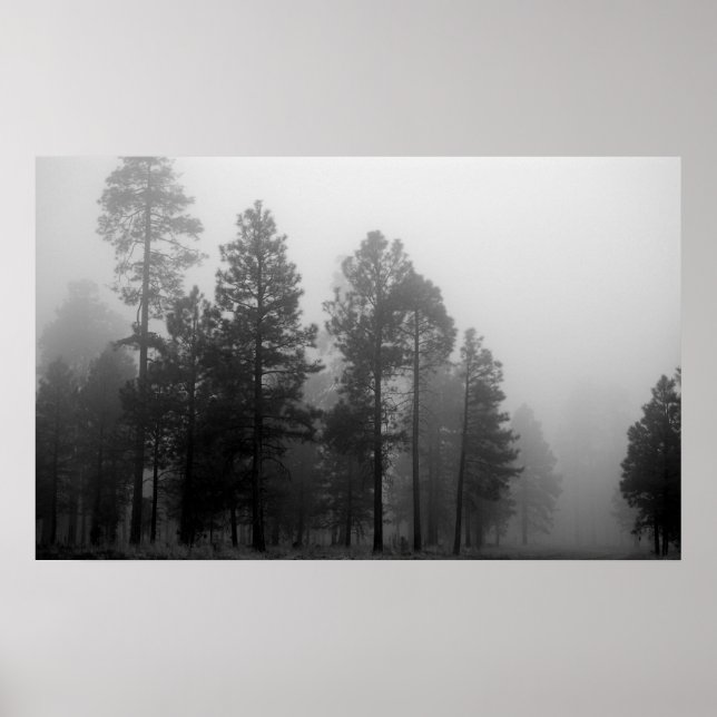 Arizona Fog Poster (Front)