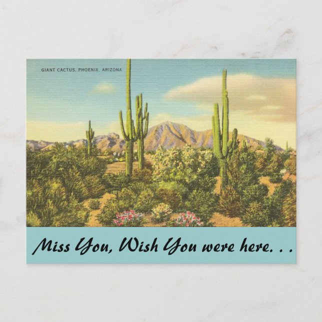 Arizona, Giant Cactus Postcard (Front)