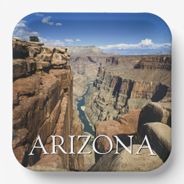 Arizona | Grand Canyon National Park Paper Plate (Front)