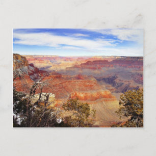 Arizona Grand Canyons Postcard