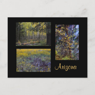 Arizona in golden tones postcard
