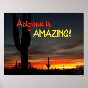 "Arizona is Amazing!" Sunset Sonoran Desert Cactus Poster